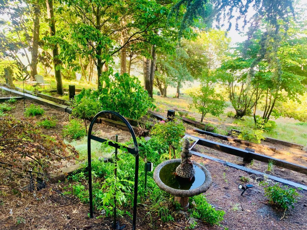 100 Mile View-Fire Pit, Romantic, Peaceful, Private Crestline Exteriér fotografie